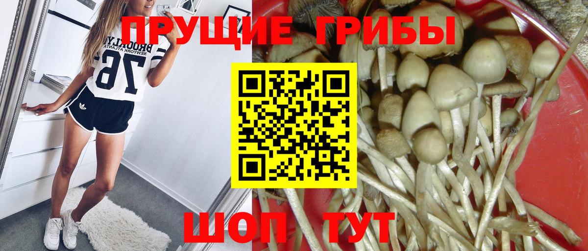 Псилоцибиновые грибы MAGIC MUSHROOMS  Вход с VPN  Дальнереченск 